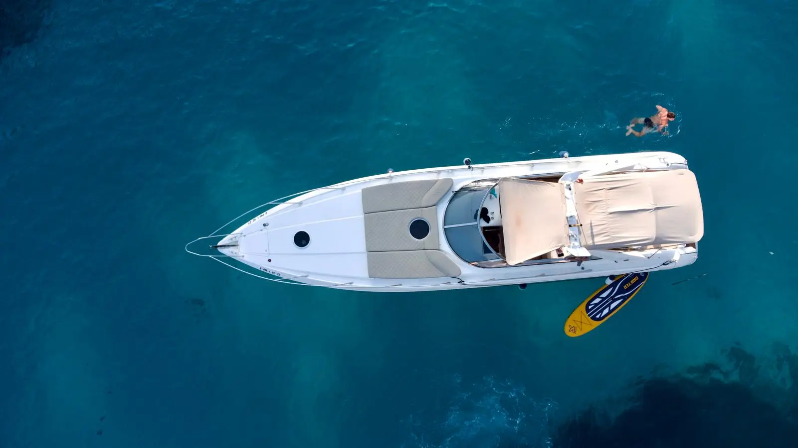 SUNSEEKER UP